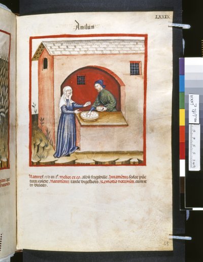 Theatrum sanitatis di Ububchasym de Baldach: 