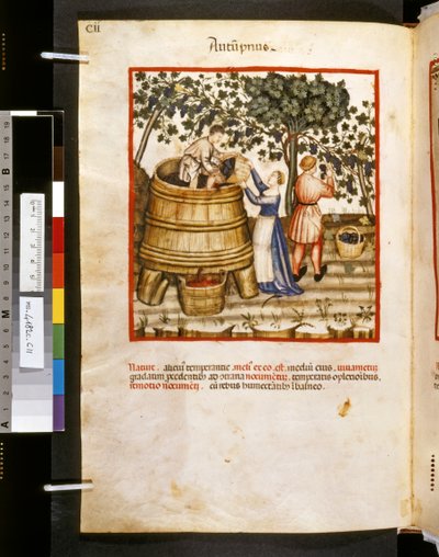 Theatrum sanitatis di Ububchasym de Baldach: 