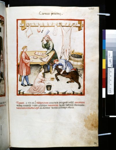 Theatrum sanitatis di Ububchasym de Baldach: 