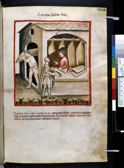 Theatrum sanitatis di Ububchasym de Baldach: 