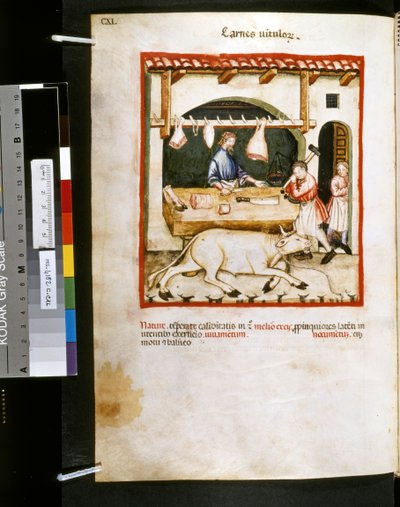 Theatrum sanitatis di Ububchasym de Baldach: 