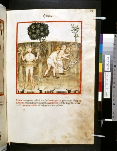 Theatrum sanitatis di Ububchasym de Baldach: 