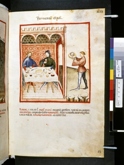 Theatrum sanitatis di Ububchasym de Baldach: 