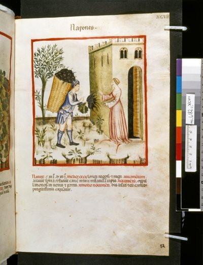 Theatrum sanitatis di Ububchasym de Baldach: 