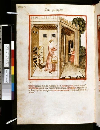 Theatrum sanitatis di Ububchasym de Baldach: 