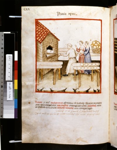 Theatrum sanitatis di Ububchasym de Baldach: 