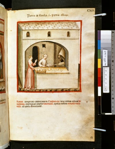 Theatrum sanitatis di Ububchasym de Baldach: 