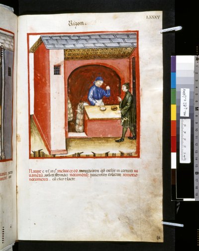 Theatrum sanitatis di Ububchasym de Baldach: 