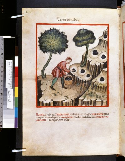 Theatrum sanitatis di Ububchasym de Baldach: 