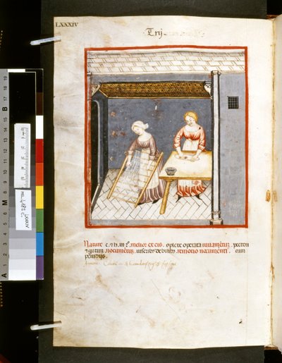 Theatrum sanitatis di Ububchasym de Baldach: 