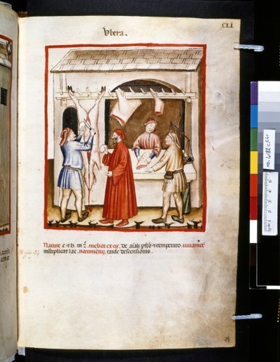 Theatrum sanitatis di Ububchasym de Baldach: 