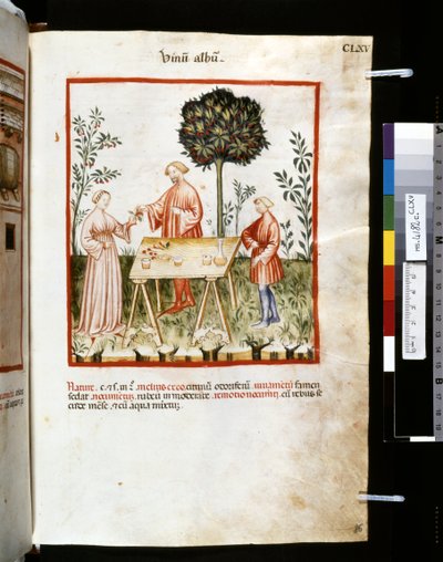 Theatrum sanitatis di Ububchasym de Baldach: 