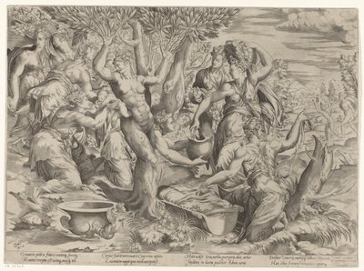 Nascita di Adone da Girolamo Fagiuoli (attributed to)