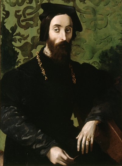 Ritratto di musicista, 1540 circa (olio su tavola) da Girolamo Mazzola (attr.) Bedoli