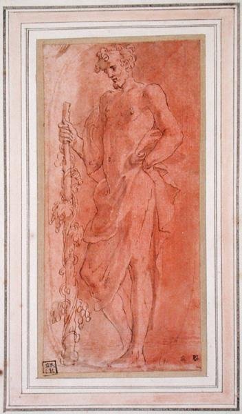 Bacco da Girolamo Mazzola Bedoli
