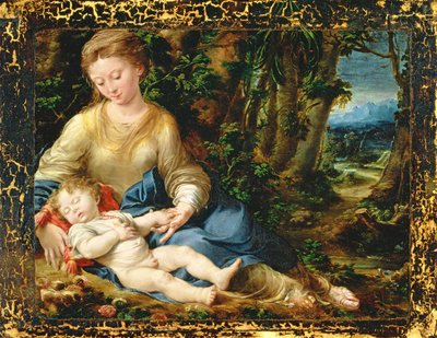 La Vergine e il Bambino in un Paesaggio, c.1536-37 da Girolamo Mazzola Bedoli