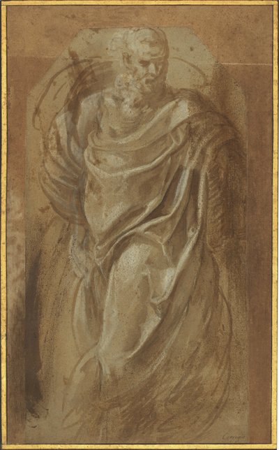 Un Uomo in Piedi con Drappeggio Classico da Girolamo Muziano