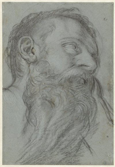Studio di una testa di profeta da Girolamo Muziano