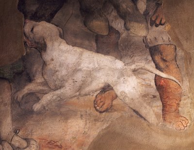 Figura di cane (dettaglio) da Girolamo Romanino