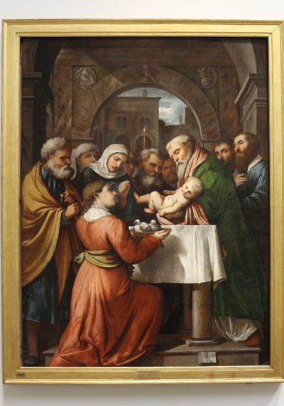 Presentazione di Gesù al Tempio, 1529 da Girolamo Romanino
