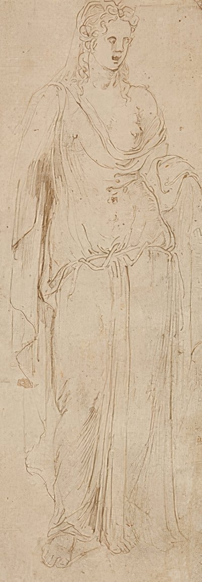 Figura in piedi da Girolamo da Carpi