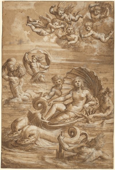 Il trionfo di Galatea da Girolamo da Treviso II