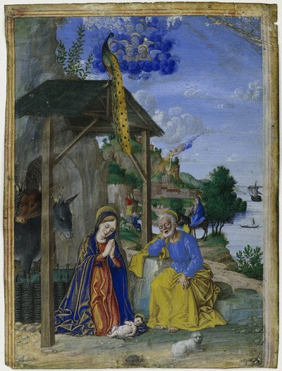 Miniatura singola: La Natività da Girolamo dai Libri