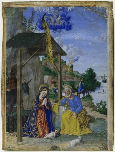 Miniatura singola: La Natività da Girolamo dai Libri