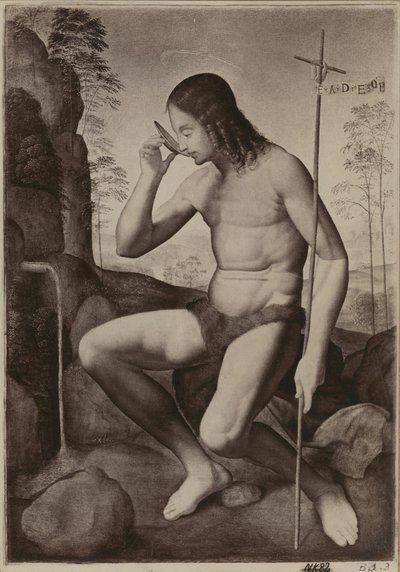 San Giovanni Battista nel deserto da Giuliano Bugiardini