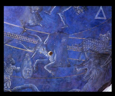 Il Percorso del Sole attraverso le stelle nella notte del 4 luglio 1442, dettaglio del Toro, dal soffitto sopra l