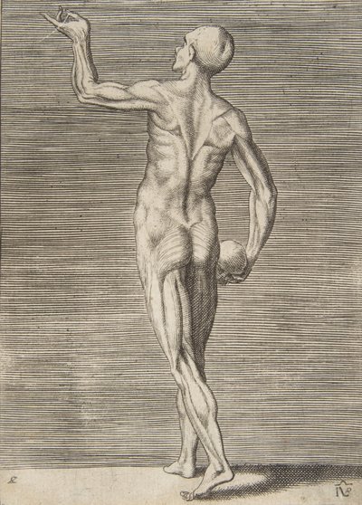 Uomo visto di spalle, con un teschio nella mano destra, XVI secolo da Giulio Bonasone