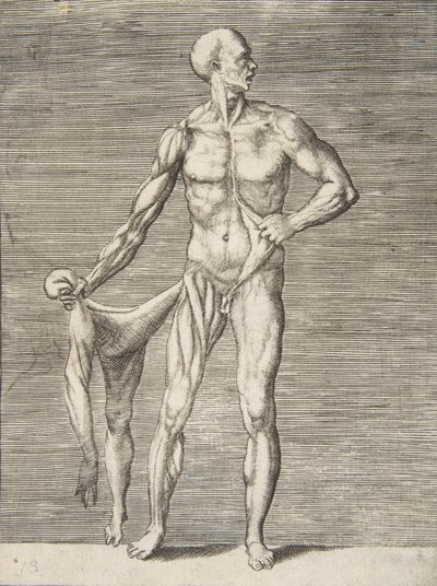 Uomo visto di fronte, che tiene la pelle del braccio destro e della gamba destra nella mano destra, 16° secolo da Giulio Bonasone