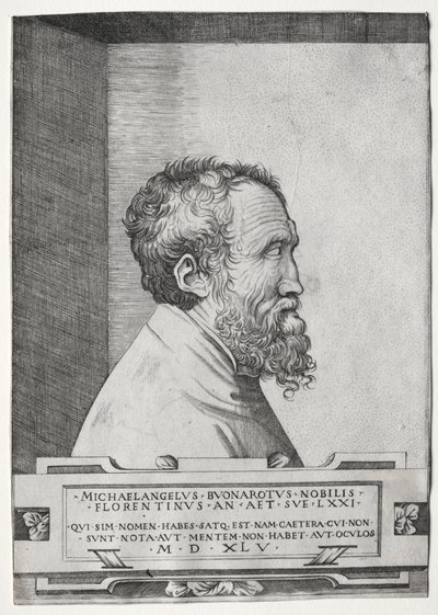 Ritratto di Michelangelo di profilo rivolto a destra da Giulio Bonasone