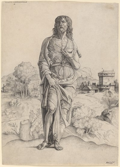 San Giovanni Battista da Giulio Campagnola