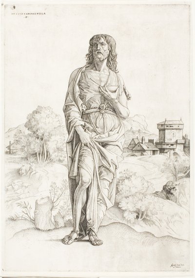 San Giovanni Battista da Giulio Campagnola