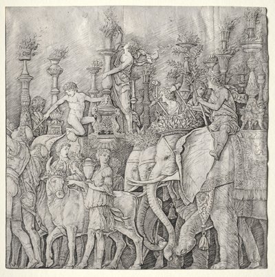 I trionfi di Cesare: gli elefanti da Giulio Campagnola