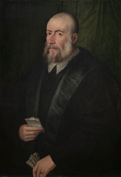 Ritratto di un vecchio, metà del 1500 da Giulio Campi