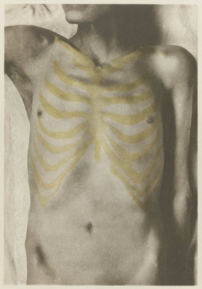 Foto anatomica di un cadavere maschile: 