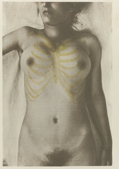 Foto anatomica di un cadavere femminile: 
