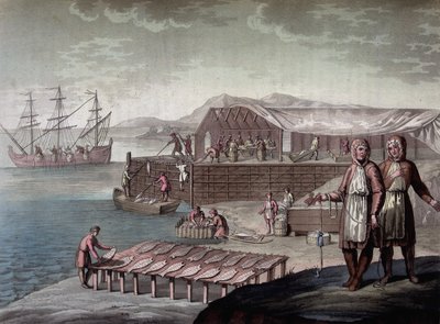 Pesca del merluzzo fatta dagli abitanti di Terranova - in Le costume ancien et moderne di Ferrario, ed. Milano da Giulio Ferrario