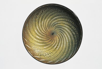 Primo piano di un piatto, Murano, Venezia, Veneto, Italia da Giulio Radi