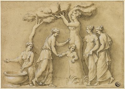 Nascita di Adone da Giulio Romano