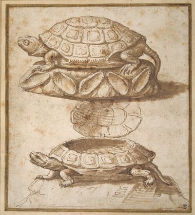 Progetto per una scatola con coperchio a forma di tartaruga, mostrata aperta e chiusa da Giulio Romano