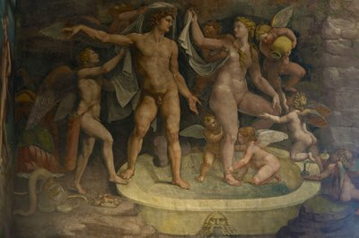 Dettaglio dell