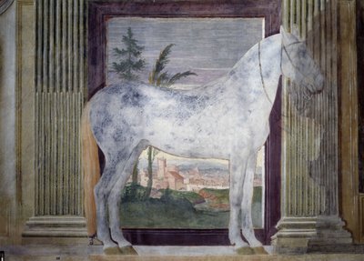 Ritratto del cavallo Glorioso (dettaglio) da Giulio Romano