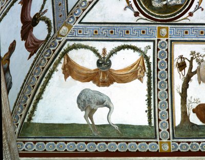 La Camera con Fregio di Amorini (dettaglio di uno struzzo, 1520s) da Giulio Romano