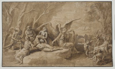 Venere piange la morte di Adone da Giulio Romano
