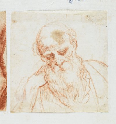 Testa di Uomo Barbuto che Guarda in Basso da Giuseppe Cesari
