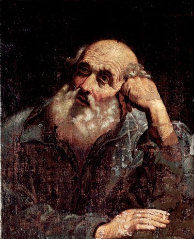 Ritratto di un Apore da Giuseppe Antonio Petrini