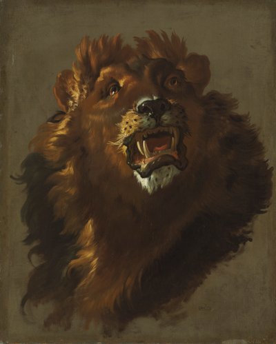 Leone da Giuseppe Baldrighi